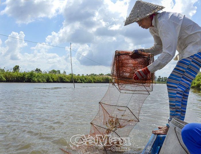 Nhu cầu sử dụng sản phẩm lú ngày càng lớn, phục vụ cho thu hoạch thuỷ sản hay đánh bắt trên biển.
