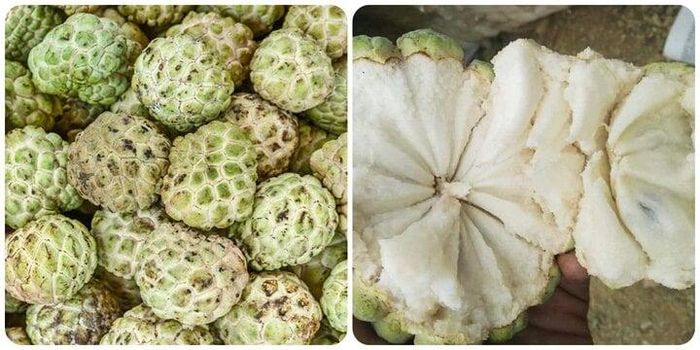 Quả na rất tốt cho sức khỏe