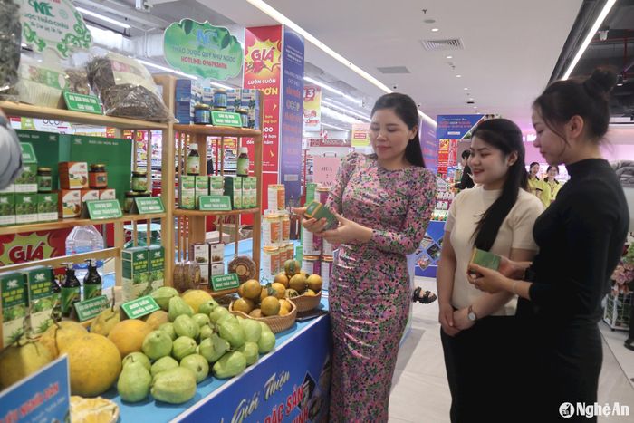 Chỉ số PII là thước đo về điểm mạnh, yếu, các yếu tố tiềm năng và các điều kiện cần thiết để thúc đẩy phát triển kinh tế - xã hội dựa trên khoa học công nghệ và đổi mới sáng tạo của từng địa phương. Ảnh: T.P