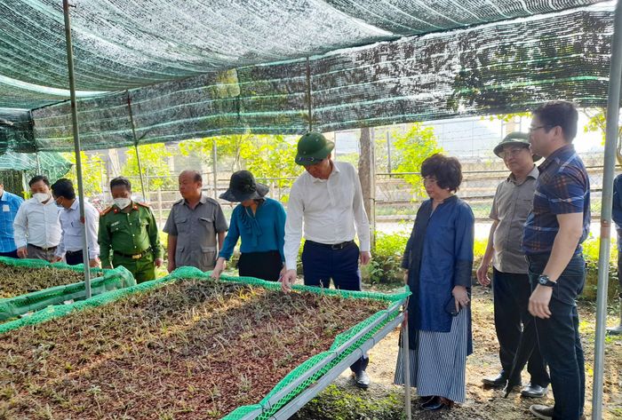 Lãnh đạo tỉnh kiểm tra tình hình phát triển cây dược liệu của Tập đoàn TH tại huyện Kỳ Sơn. Ảnh tư liệu: Báo Nghệ An