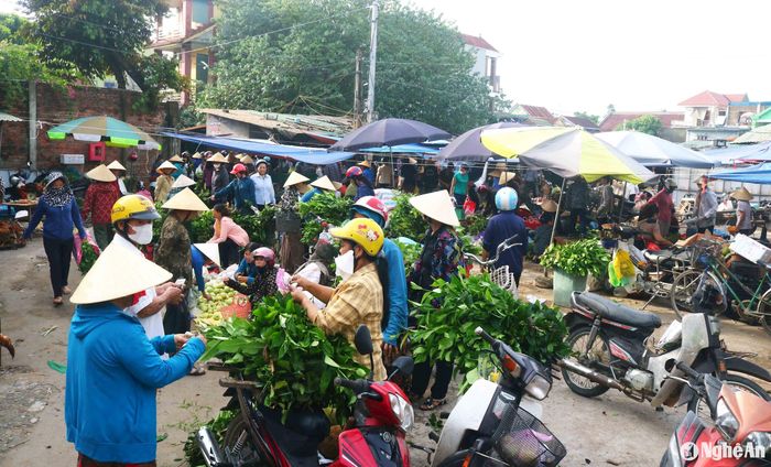 Đi chợ quê ngày Rằm không chỉ được mua bán trao đổi, cảm nhận được không khí đón Rằm của người dân các vùng quê mà còn hiểu hơn nét đẹp chợ quê xứ Nghệ mỗi dịp Rằm tháng Bảy. Ảnh: Huy Thư