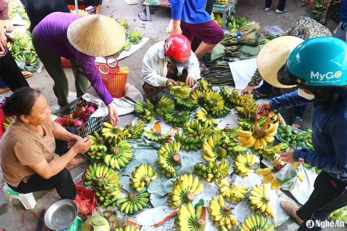Người dân mua chuối cúng Rằm thường lựa chọn những nải chuối vừa, không to quá, không nhỏ quá, màu sắc đẹp. Nhiều người cẩn thận chọn nải chuối có số trái chẵn hoặc lẻ theo quan niệm cá nhân. Giá chuối ở các chợ quê dao động từ 20.000 - 80.000 đồng/nải. Ảnh: Huy Thư