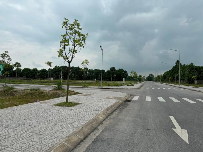Khu đấu giá đất tại xóm Kim Trung, xã Nghi Ân, Tp Vinh thông báo đấu giá nhiều lần nhưng rất ít người tham gia đấu giá. Ảnh: Nguyễn Hải