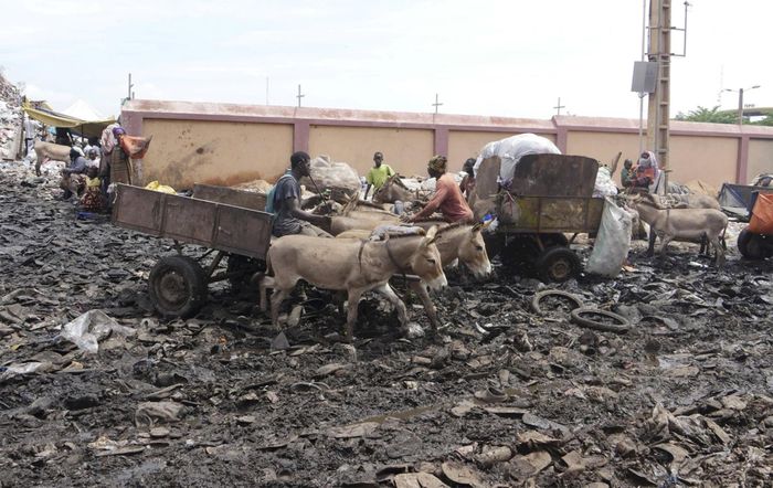 Xe lừa kéo được dùng để thu gom rác thải sinh hoạt tại bãi rác Badalabougou ở Bamako, Mali. Nguồn: AP.