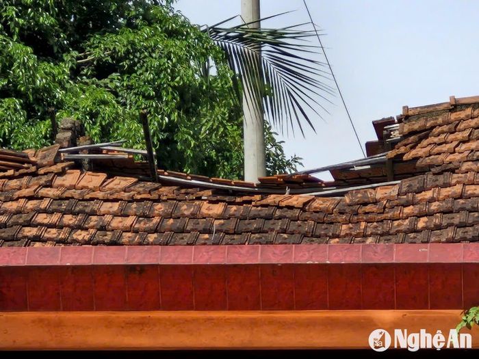 Mái của dãy nhà cấp 4 Nhà nghỉ dưỡng lão. Ảnh: Nhật Lân