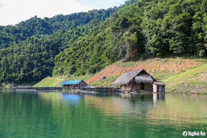 Tại bản Huồi Pủng, một số hộ gia đình đã sáng tạo tận dụng nguồn nước từ hồ thủy điện để phát triển mô hình nuôi cá lồng, từ đó mở rộng cơ hội cải thiện đời sống. Ảnh: Đình Tuyên