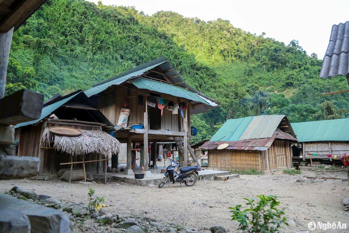 Chủ trương di dời toàn bộ bản đến một điểm thuận lợi hơn được đưa ra. Tuy nhiên, việc di dời vẫn đang triển khai những thủ tục ban đầu. Tất cả các hộ dân được hỏi đều đồng ý với chủ trương di dời. Đây cũng là niềm ước vọng của khu dân cư biệt lập bậc nhất ở miền núi Nghệ An này. Ảnh: Hữu Vi