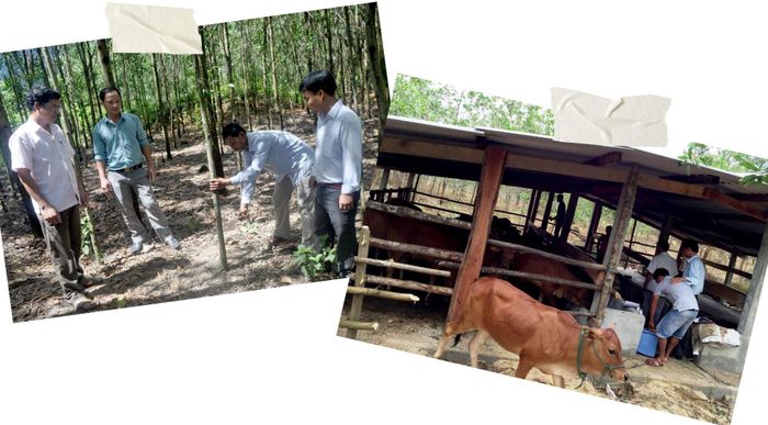  Chính sách về hỗ trợ sinh kế, phát triển sản suất, xóa nghèo bền vững cho người Lào ở A Lưới được các cấp, ngành đặc biệt quan tâm 