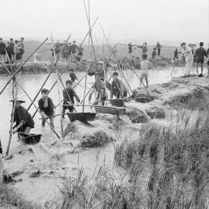 Học sinh xã Khánh Thịnh, huyện Yên Khánh, tỉnh Ninh Bình tham gia sản xuất trong dịp Hè (tháng 5/1959). Ảnh: Tư liệu TTXVN