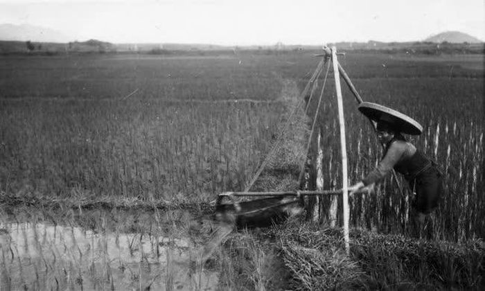 Cảnh tát nước thời thuộc Pháp (khoảng những năm 1920 - 1930). Ảnh: Tư liệu