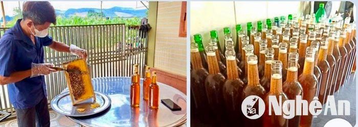 Sản phẩm mật ong Tréo Vòng của xã Đồng Thành. Ảnh: Văn Trường