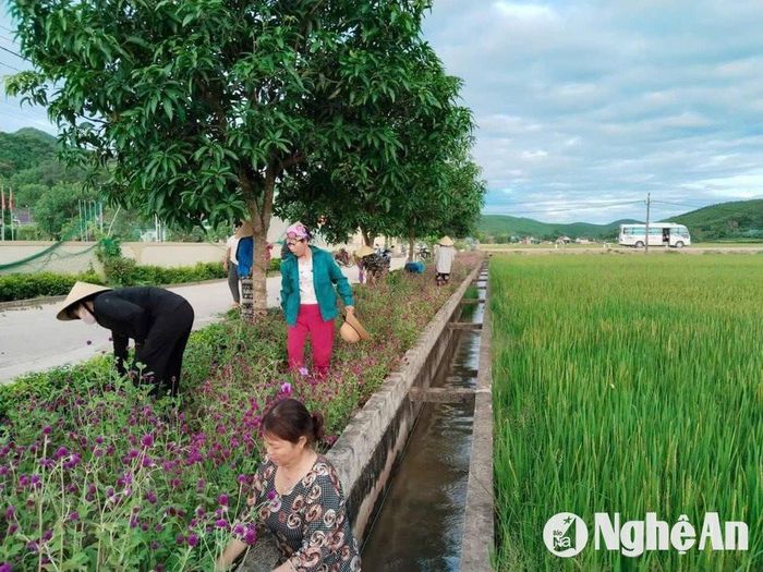 Hệ thống đường làng được trồng hoa và cây xanh rất đẹp. Ảnh: Văn Trường