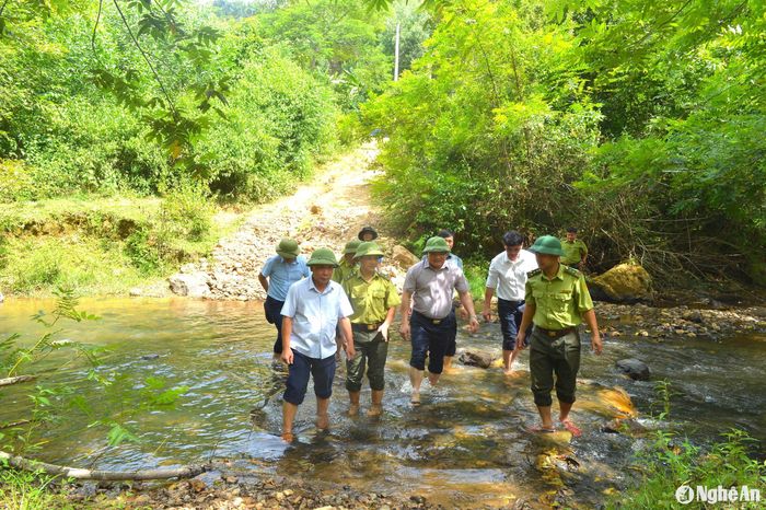 Hiện nay, Nghệ An đã hoàn thành công tác rà soát, kiểm đếm, phê duyệt xong danh sách các đối tượng được thụ hưởng nguồn hỗ trợ từ Chương trình ERPA năm 2024. Ảnh: Văn Trường