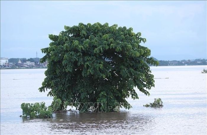 Nước sông Mekong dâng cao gây ngập ở nhiều nơi. Ảnh: Xuân Tú/PV TTXVN tại Lào