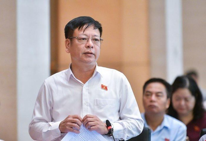 Đại biểu Nguyễn Trường Giang, Phó Chủ nhiệm Ủy ban Pháp luật của Quốc hội.