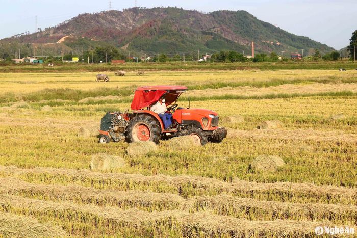 Máy cuộn rơm là những chiếc máy dập ruộng được gắn thêm bộ phận cuộn rơm ở phía sau (mua khoảng 40 - 45 triệu đồng). Ảnh: Huy Thư