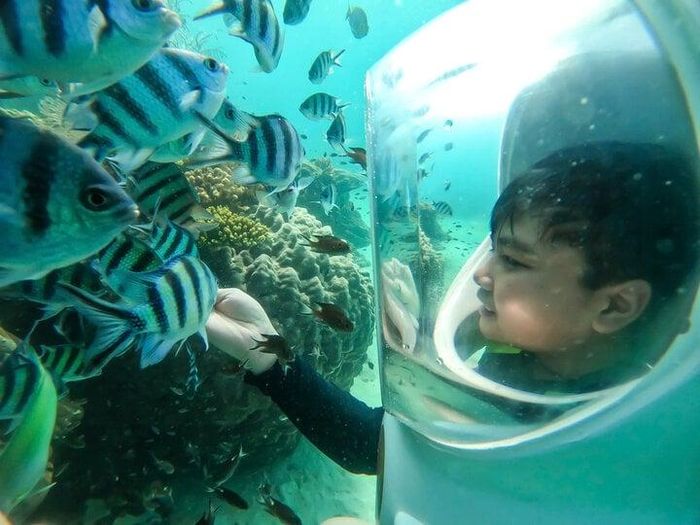 Du khách lặn biển khám phá đại dương.