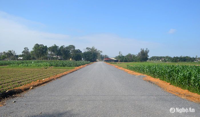 Sau các cuộc vận động, người dân đã đồng tình hiến đất thi công tuyến đường nối 2 xóm Hòa Hợp - Kim Tân (xã Nghi Ân). Ảnh tư liệu: Nhật Lân