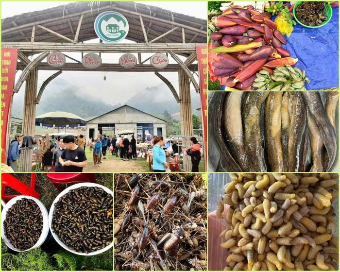 Các loại đặc sản nông sản bày bán tại chợ Mường Chon dịp này cũng nhiều và đặc sắc hơn như: các loại nhộng ong, chông rừng, chạch suối, ốc suối, các loại rau rừng...