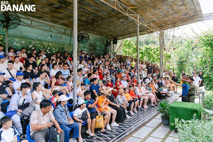Du khách thích thú khi thưởng thức show diễn kỳ quan chim muông tại Công viên suối khoáng nóng Núi Thần Tài. Ảnh: THU HÀ
