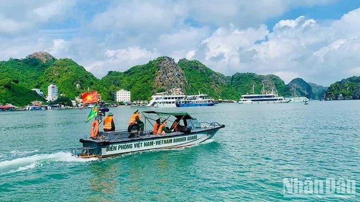 Lực lượng Bộ đội Biên phòng Hải Phòng đã tích cực triển khai các biện pháp phòng, tránh bão số 3.
