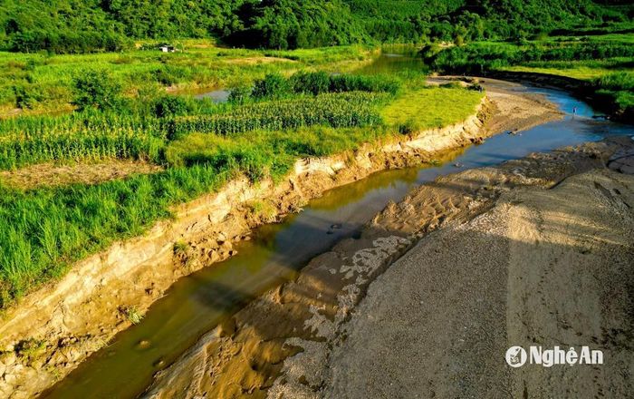 Bờ sông Dinh đoạn qua xã Thọ Hợp sạt lở. Ảnh: Văn Trường