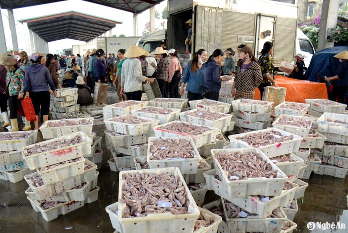 Toàn bộ hải sản được thương lái thu mua ngay tại cảng cá. Ảnh: Xuân Hoàng