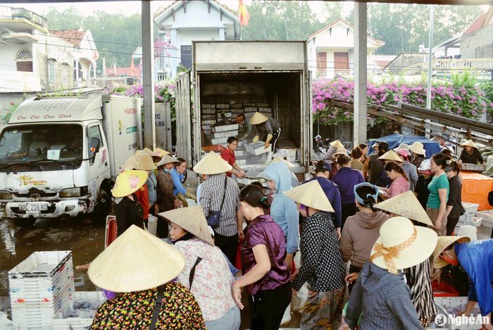 Những chuyến xe ô tô đông lạnh được xếp đầy hải sản tại Cảng cá Lạch Quèn. Ảnh: Xuân Hoàng
