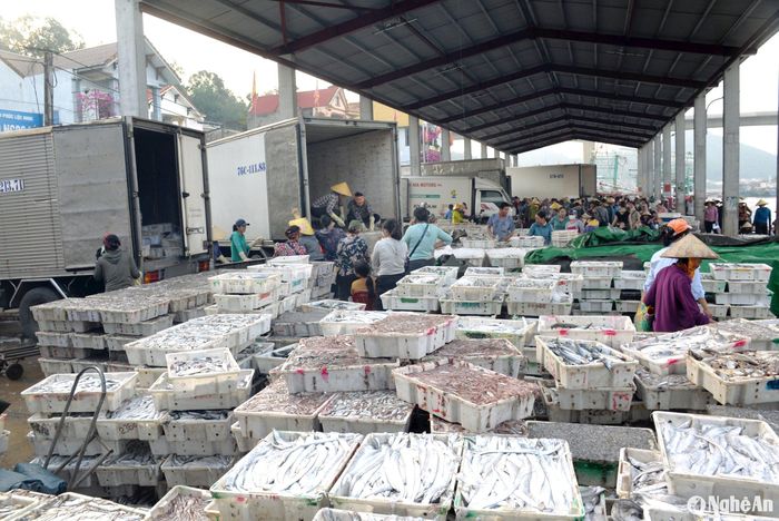 Ước tính trong 2 ngày 4 và 5/9, Cảng cá Lạch Quèn tiếp nhận khoảng 500 - 600 tấn hải sản các loại. Ảnh: Xuân Hoàng