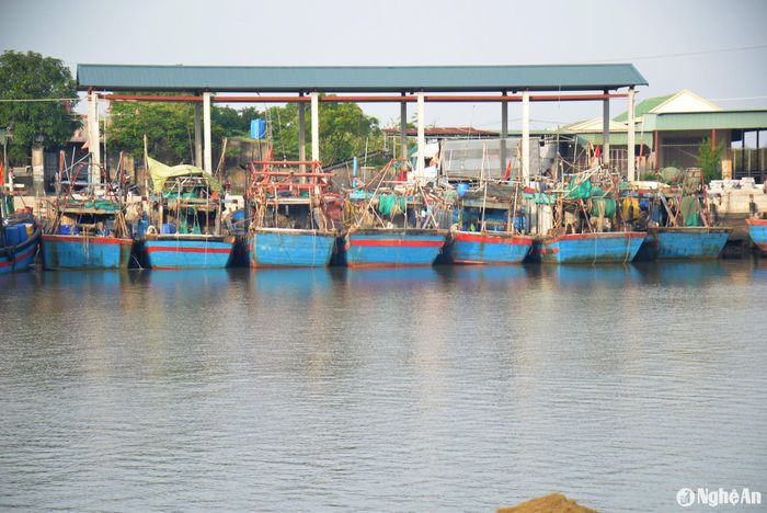 Để chủ động phòng tránh bão Yagi, ngư dân các huyện Quỳnh Lưu, Diễn Châu, Nghi Lộc, thị xã Hoàng Mai đã di chuyển tàu thuyền về bờ từ ngày 4 - 5/9. Trong ảnh: Tàu thuyền của ngư dân huyện Quỳnh Lưu đã neo đậu tránh trú siêu bão tại khu vực Cảng cá Lạch Quèn. Ảnh: Xuân Hoàng