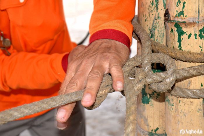 Để giảm bớt thiệt hại do gió bão gây ra, đội phòng, chống thiên tai phải sử dụng dây thừng chằng chéo và buộc chặt. Ảnh: Văn Trường