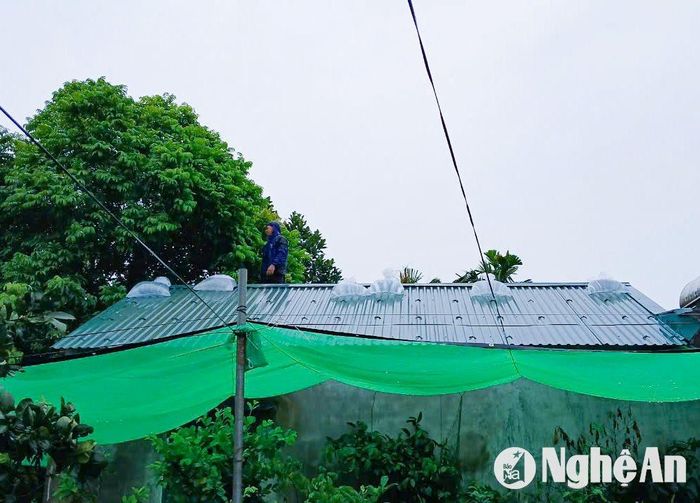 Trước khi bão đổ bộ vào đất liền, người dân đã gia cố, chằng chống nhà cửa bằng nhiều vật liệu: bì cát, túi bóng đựng nước… Ảnh: T.P