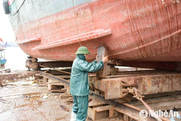 Anh Nguyễn Sỹ Duy (phường Quỳnh Phương, Thị xã Hoàng Mai) chủ một cơ sở sửa chữa tàu cho biết: “Hiện tại nhà xưởng đã được gia cố, chằng chéo cẩn thận; những tàu thuyền đang sửa chữa ở đây cũng được chèn chắc chắn phòng mưa to, gió giật khiến tàu bị nghiêng, đổ, hư hỏng”. Ảnh: CSCC
