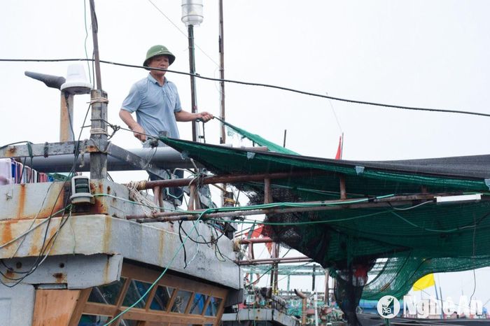 Tháo lưới che, bạt phủ tránh lốc giật, gió quật rách. Ảnh: T.P
