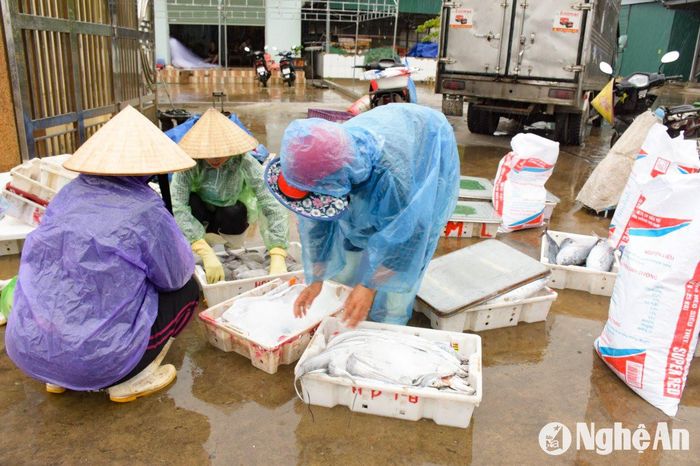 Ngư dân hối hả tiêu thụ số cá còn lại để kịp về nhà tránh bão. Ảnh: T.P