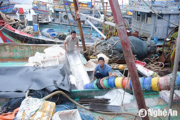 Thu dọn ngư lưới cụ vào các khoang tàu tránh gió lốc. Ảnh: T.P