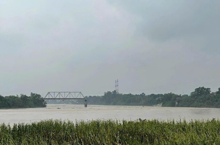 Cầu Phong Châu nhìn từ xa.