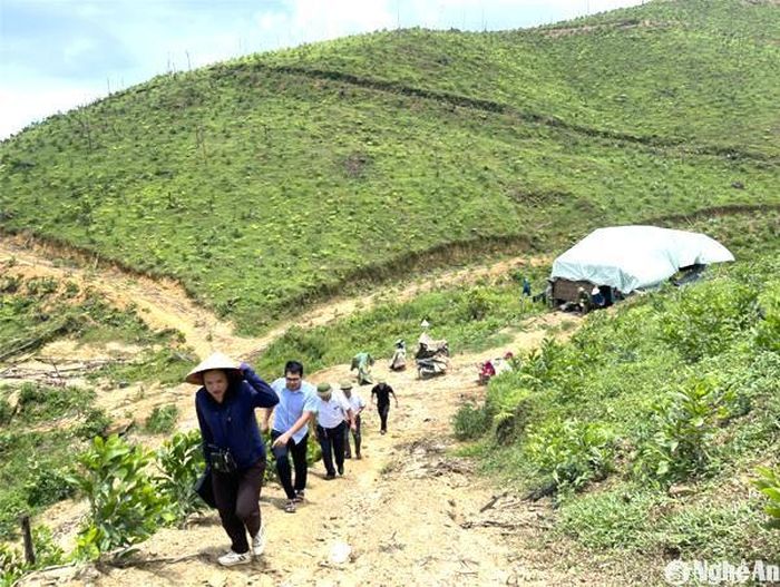 Tổ công tác liên ngành huyện Quỳ Hợp kiểm tra thực địa giải quyết tranh chấp đất đai của người dân ở xã Châu Cường. Ảnh: Ngọc Tú