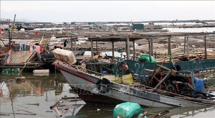 Tỉnh Quảng Ninh có hơn 2.400 hộ nuôi trồng thủy sản bị thiệt hại với tổng số tiền ước tính hàng nghìn tỷ đồng. Ảnh: Văn Đức/TTXVN