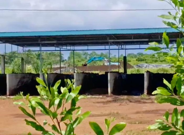 Phân heo được chất thành đống gần đường dân sinh.