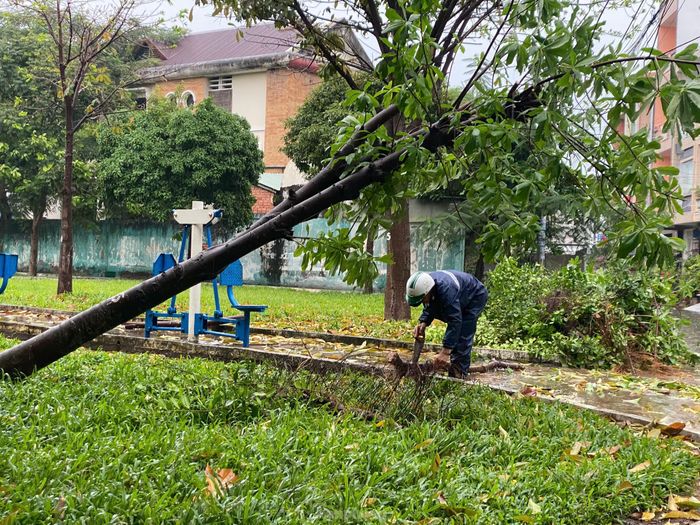  Một cây xanh trong công viên khu dân cư Hương Lộ 5, quận Bình Tân cũng bị nghiêng sau cơn mưa dông. 