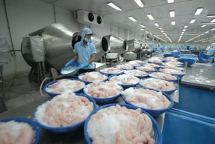 Sản phẩm phile cá tra đông lạnh vẫn là mặt hàng chủ lực của Mỹ và Trung Quốc nhập khẩu từ Việt Nam. Ảnh minh họa