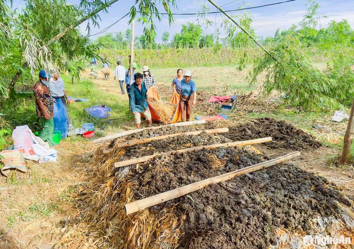 Để tiết kiệm chi phí sản xuất, bà con gom rơm rạ, phụ phẩm nông nghiệp để ủ phân vi sinh ngay tại chân ruộng, lấy phân bón cho cây trồng vụ Đông. Ảnh: T.P