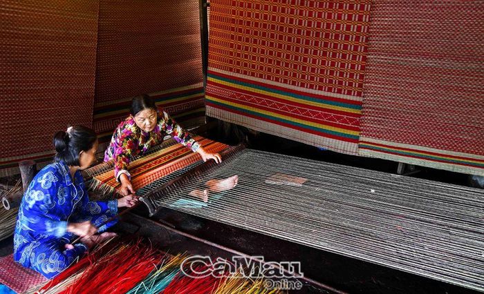 Ðã bao đời nay, gia đình chị Cao Thị Thu Hồng (xã Tân Thành, TP Cà Mau) gắn bó với từng sợi lác, góp phần giữ nghề dệt chiếu truyền thống ở địa phương.