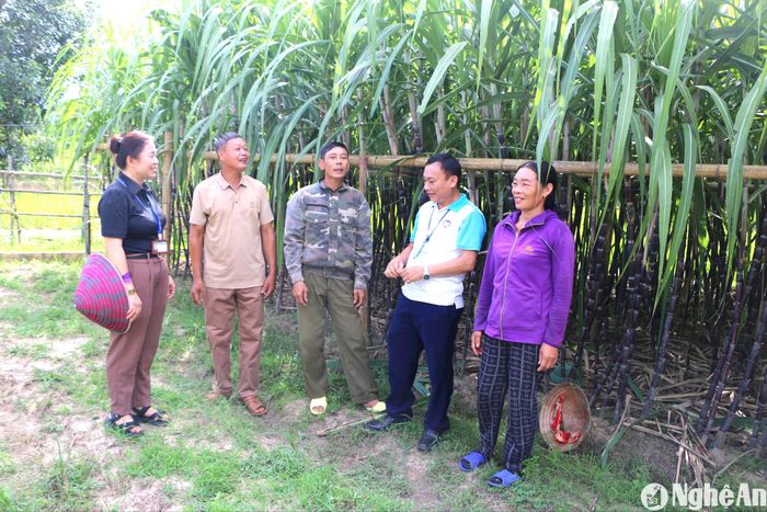 Ông Nguyễn Đình Chiểu (giữa), thôn Hải Lâm chia sẻ với lãnh đạo xã Mường Nọc (huyện Quế Phong) về sự thuận lợi trong đi lại, sản xuất khi có hệ thống đường giao thông thông thoáng, sáng, đẹp. Ảnh: KL
