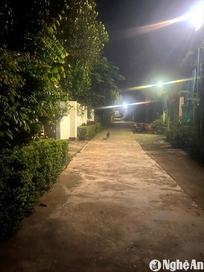 Đèn điện chiếu sáng được lắp đặt cả trên các ngõ xóm owr xã Mường Nọc. Ảnh: CSCC2