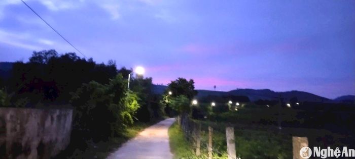 Những tuyến đường nhánh ở thôn Hải Lâm đều được thắp hệ thống đèn chiếu sáng vào ban đêm. Ảnh: CSCC