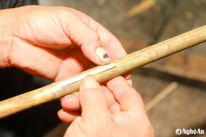 Nghệ nhân Lương Văn Pắn, trú tại xã Xá Lượng, huyện Tương Dương chia sẻ: “Pí khúi là một loại nhạc cụ hơi, được làm từ ống nứa lấy trên nương rẫy. Nứa dùng làm loại nhạc cụ này phải chọn những cây thẳng đẹp, thân tròn đều và nứa cũng không già và cũng không non quá… Như vậy để sau này cây pí không bị mọt, âm thổi ngân vang… Pí khúi có chiều dài khoảng 60 - 80 cm, loại nhạc cụ độc đáo này có 5 lỗ, khoảng cách giữa các lỗ được tính theo chu vi hình tròn ở đầu ống nứa”. Ảnh: Đình Tuân