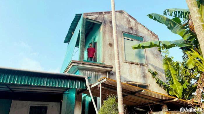 Căn nhà chòi của gia đình ông Phạm Văn Hoan ở xã Châu Nhân (Hưng Nguyên). Ảnh: Quang An