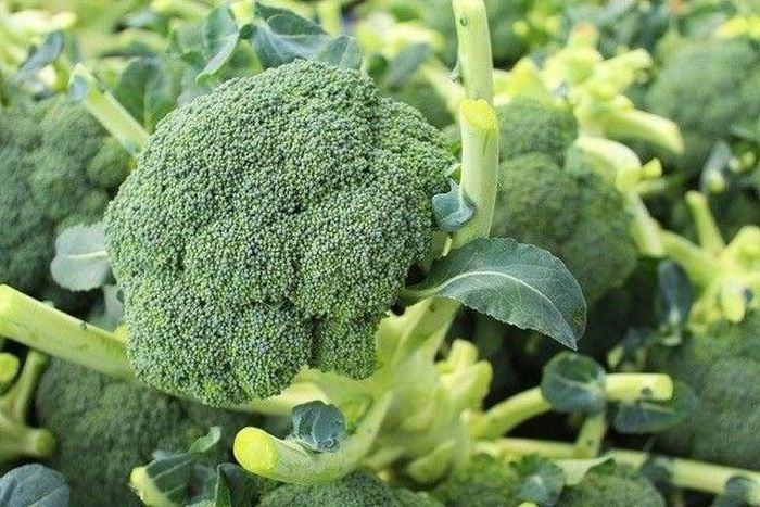 Súp lơ xanh - loại rau giàu sắt và cũng giàu vitamin C bổ sung cho cơ thể...